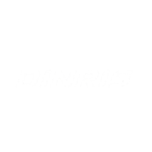 DINRIS